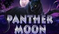 игровые автоматы Panter moon играть