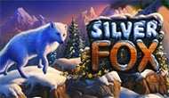 Silver Fox от казино Вулкан