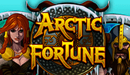 игровой автомат Arctic Fortune
