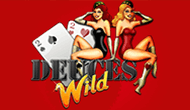 Игровые автоматы Deuces Wild (Vulkan casino)